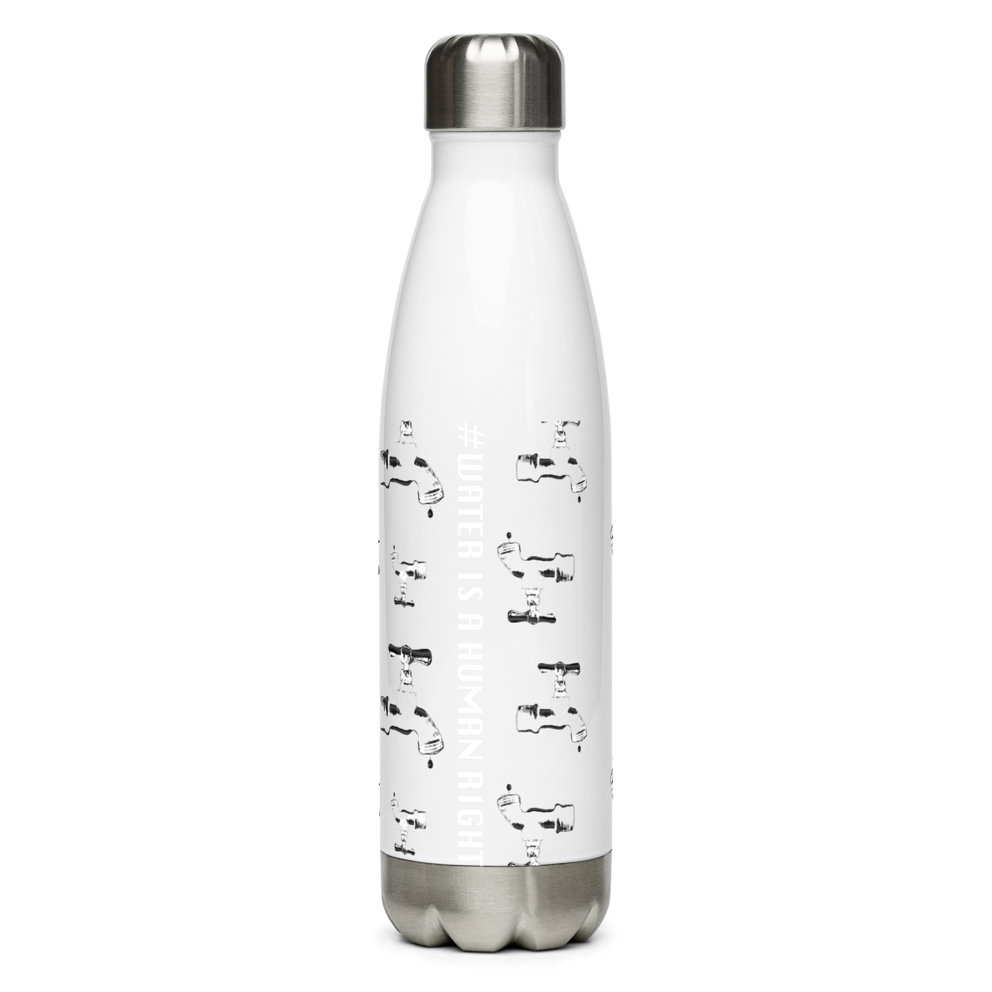 Stainless steel water bottle